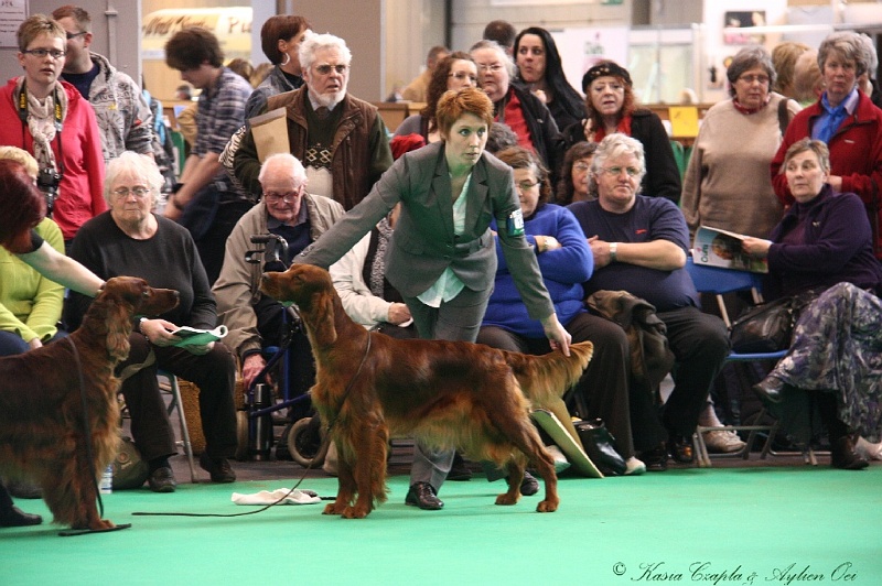 Crufts2011 789.jpg